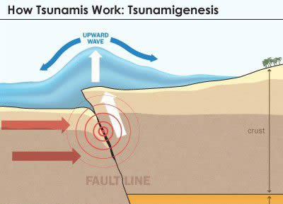 为什么会发生海啸