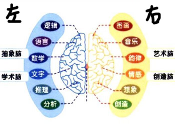 右脑开发