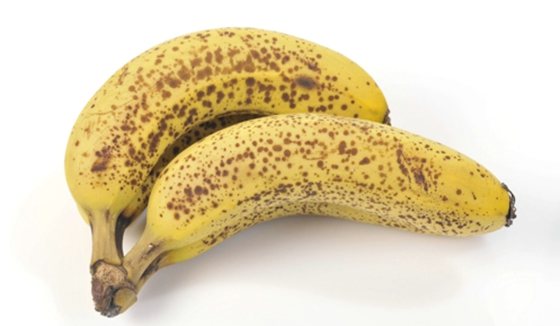 为什么香蕉没有种子,香蕉的种子在哪里