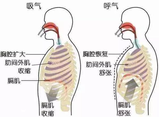 人为什么会岔气,岔气了怎么办