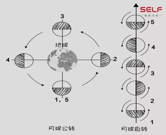 为什么我们只能看到月球的一面,月球的背面是什么