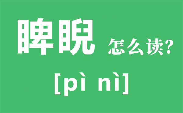 睥睨怎么读拼音是什么_睥睨是什么意思_