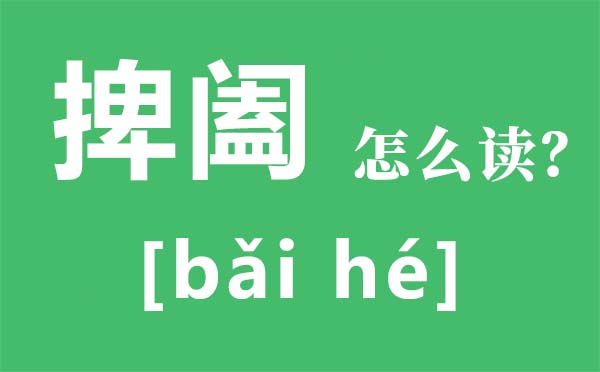 捭阖怎么读拼音是什么,捭阖是什么意思,纵横捭阖的的意思是什么