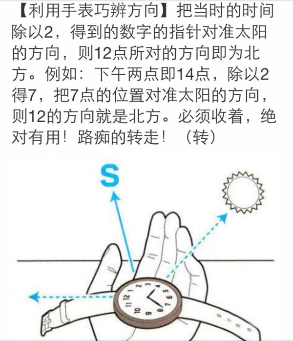 指南针为什么不叫指北针,大自然的指南针有哪些