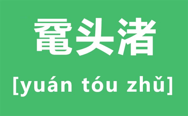 鼋头渚怎么读拼音是什么,无锡鼋头渚是什么地方