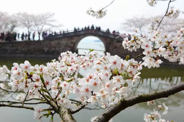 鼋头渚怎么读拼音是什么,无锡鼋头渚是什么地方