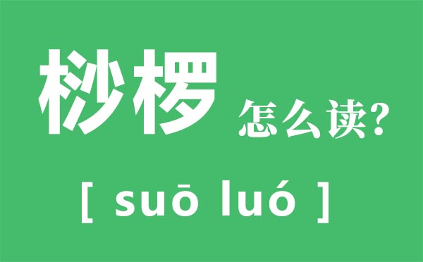 桫椤怎么读拼音是什么,桫椤是什么植物,桫椤树介绍