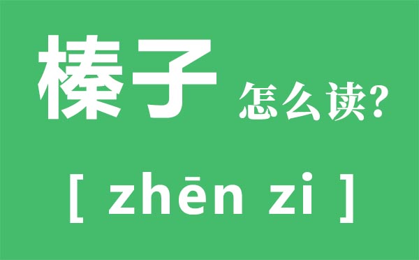 榛子怎么读,榛子是什么,榛子的功效与作用