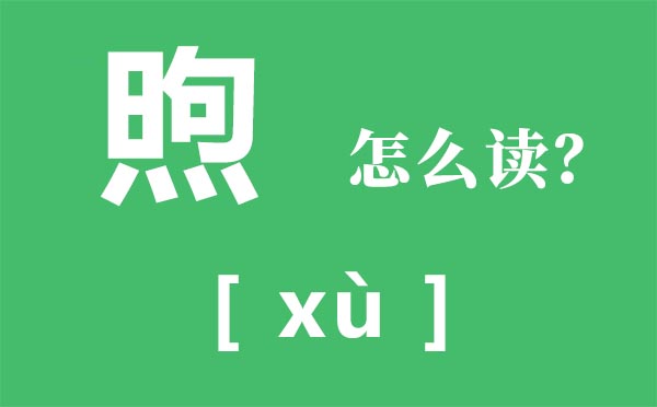 煦怎么读,煦的拼音,煦字是什么意思