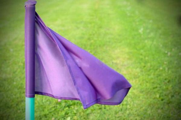 为什么没有紫色国旗,为什么国旗很少用紫色