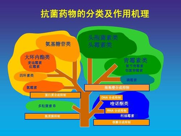 为什么要慎用抗生素,不能滥用抗生素的原因