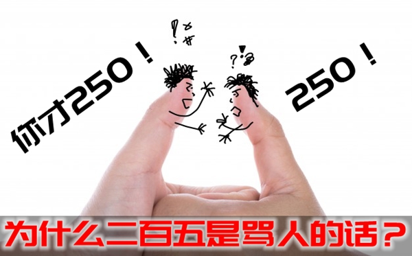 为什么二百五是骂人的话,别人骂你250怎么反驳