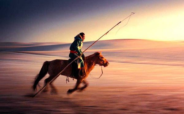 蒙古马精神是什么,蒙古马精神指的是哪十六个字