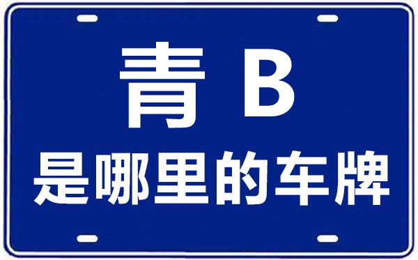 青B是哪里的车牌号,海东的车牌号是青什么