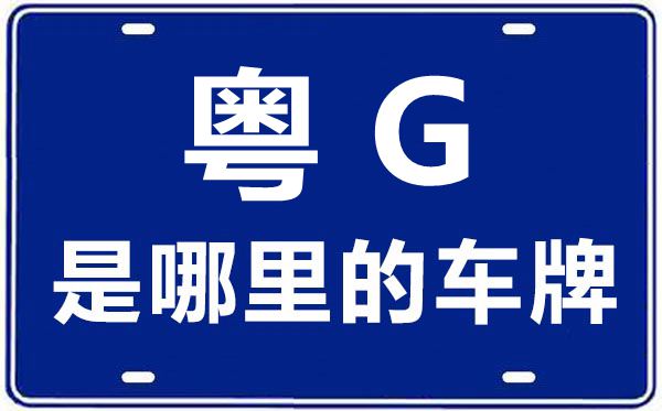 粤G是哪里的车牌号,湛江的车牌号是粤什么