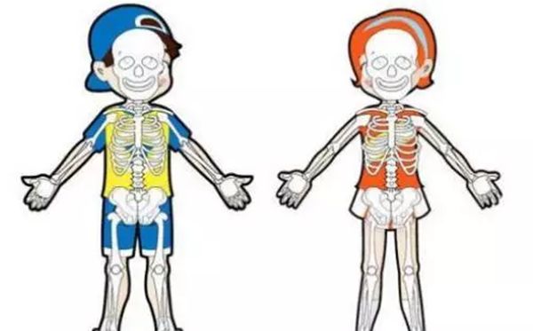 为什么婴儿的骨骼比成人的多,宝宝多出99块骨头的原因