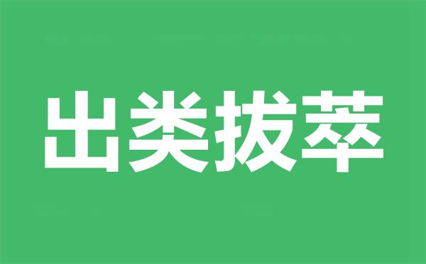 今天小鸡庄园的答案1.13