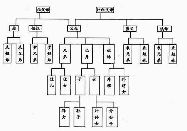 蚂蚁庄园今日答案最新2.9