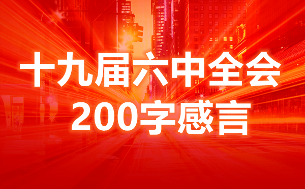高校学生关于十九届六中全会的200字感言