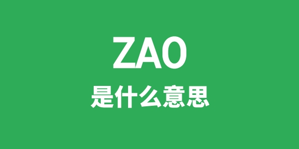 ZAO是什么意思
