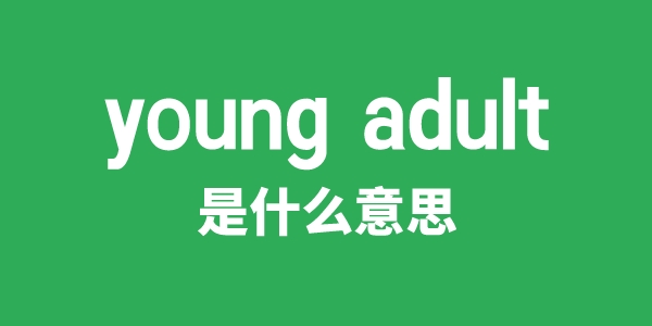 young adult是什么意思