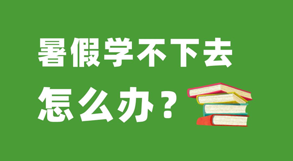 高中生暑假学习计划表,高中生暑假怎么安排