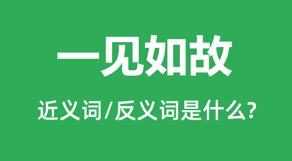 一见如故的近义词和反义词是什么,一见如故是什么意思