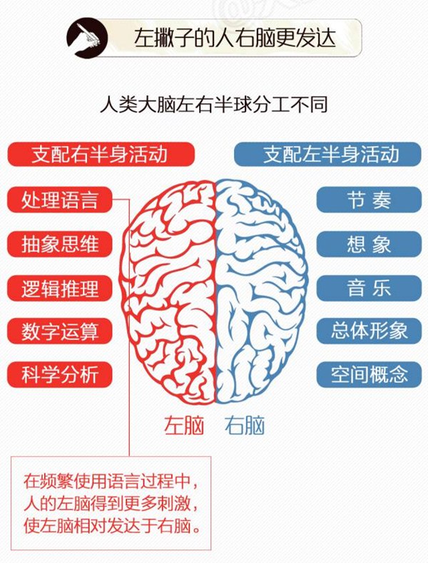 国际左撇子日是几月几日,国际左撇子日是哪一天