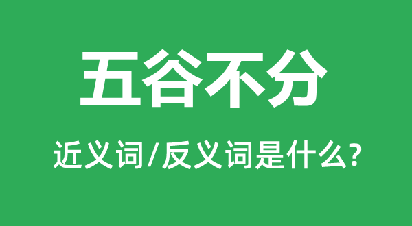 五谷不分的近义词和反义词是什么,五谷不分是什么意思