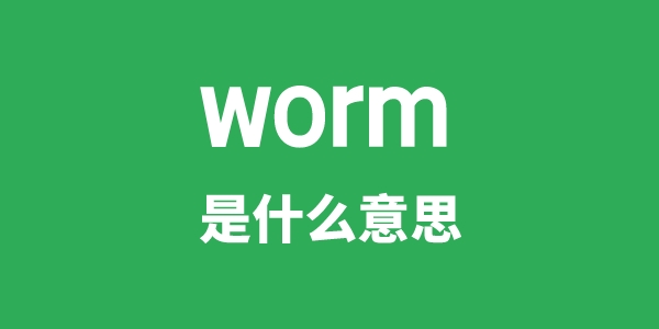 worm是什么意思