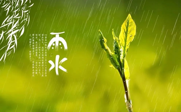 雨水节气的含义是什么,雨水节气的特点和风俗简介
