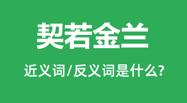 契若金兰的近义词和反义词是什么,契若金兰是什么意思