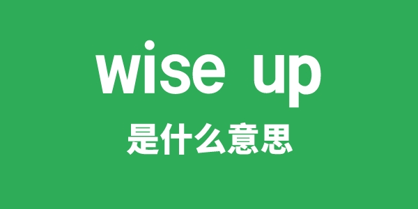wise up是什么意思