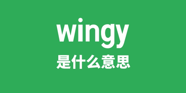 wingy是什么意思