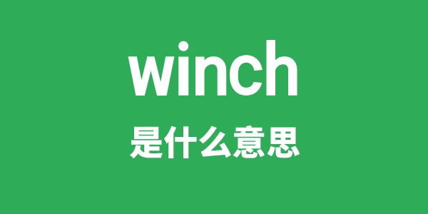 winch是什么意思