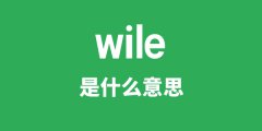 wile是什么意思_wile怎么读