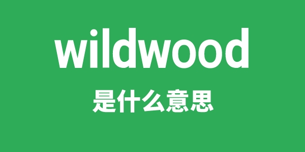 wildwood是什么意思