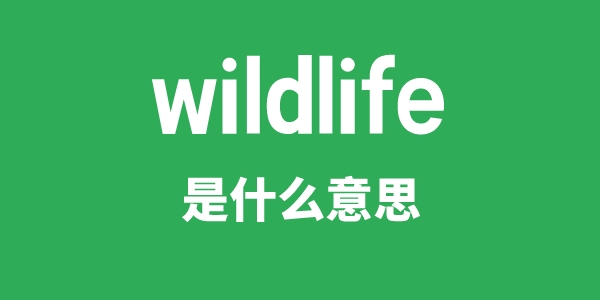 wildlife是什么意思