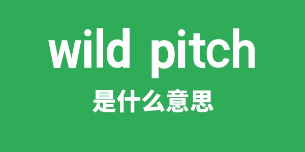 wild pitch是什么意思