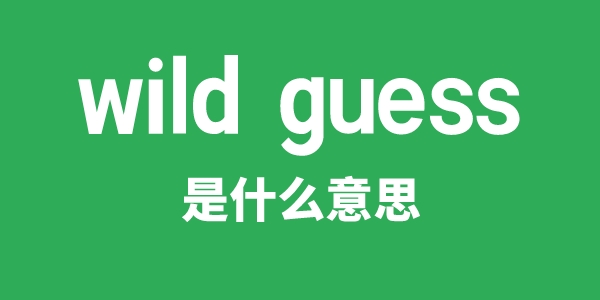 wild guess是什么意思