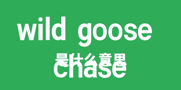 wild goose chase是什么意思
