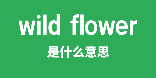 wild flower是什么意思