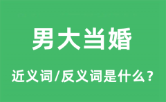 男大当婚的近义词和反义词是什么