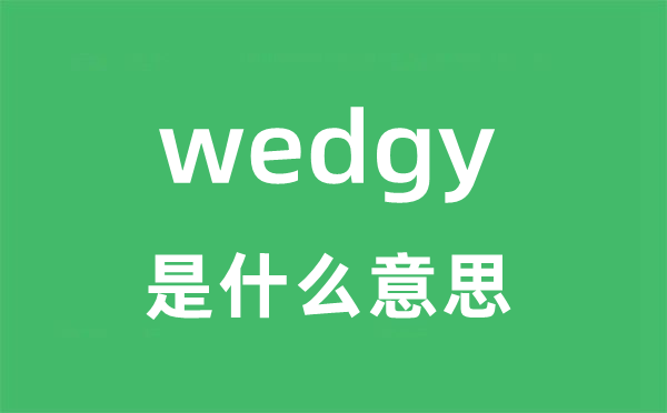 wedgy是什么意思