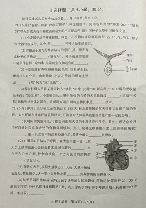 2023年河南中考生物试卷真题及答案