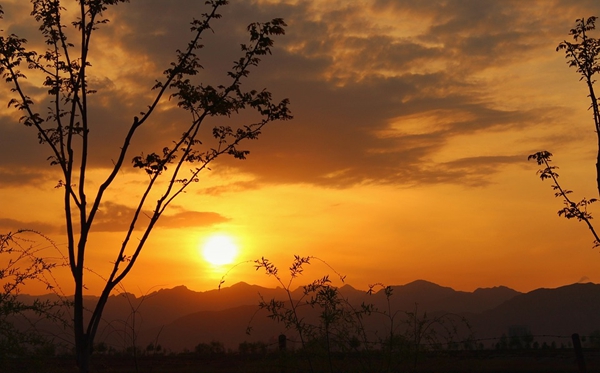 宁夏有哪些大学,宁夏自治区所有大学名单一览表