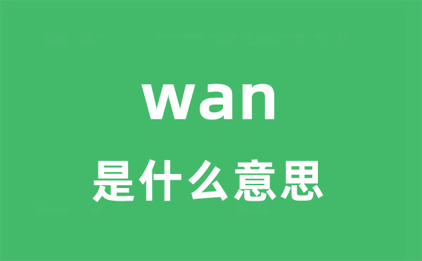 wan是什么意思