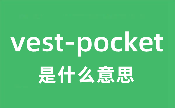 vest-pocket是什么意思