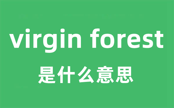 virgin forest是什么意思