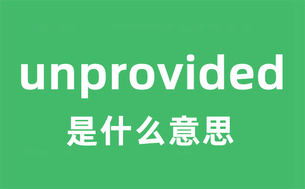unprovided是什么意思